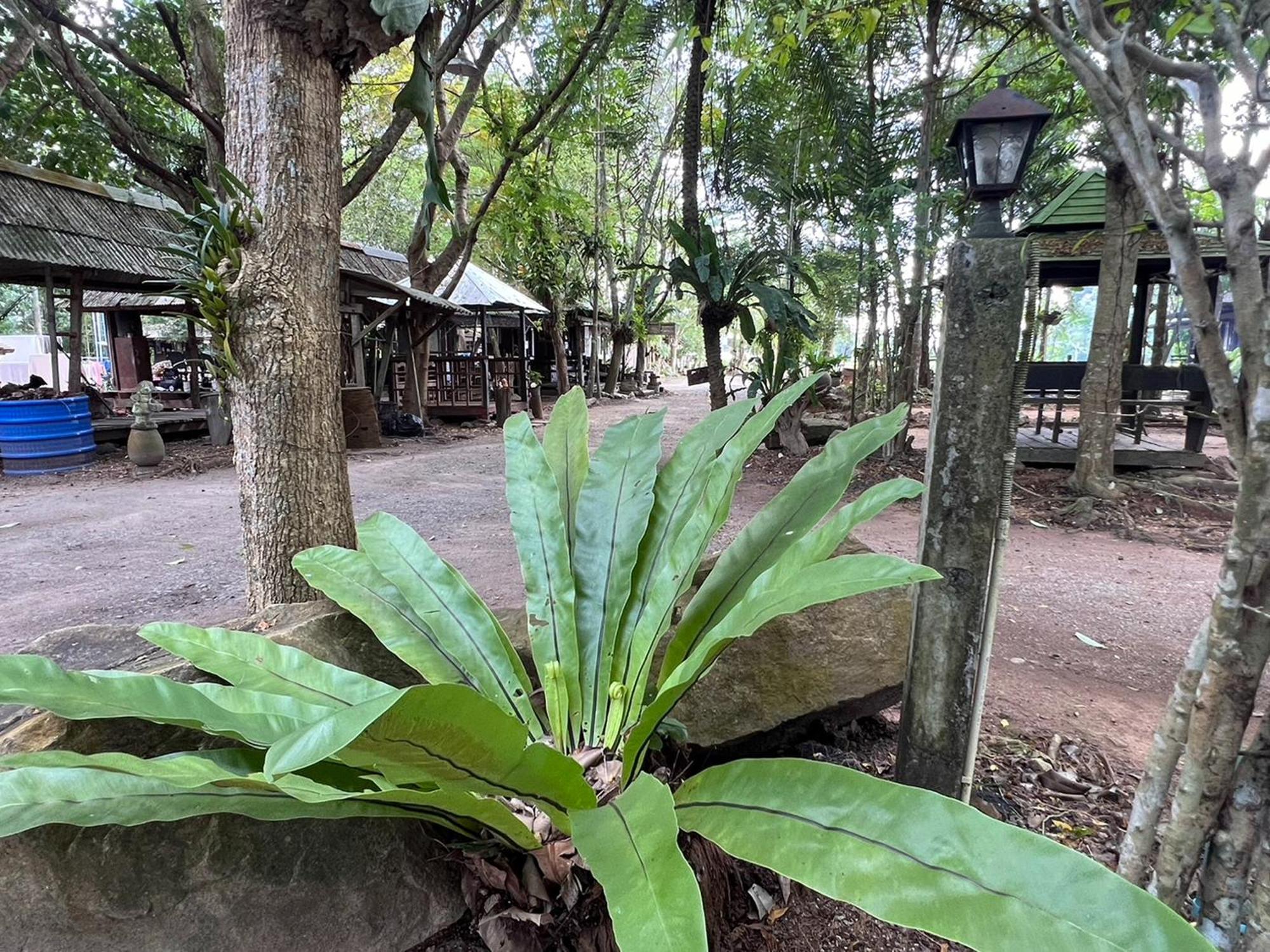 Pang Mai Resort Songkhla Exterior foto